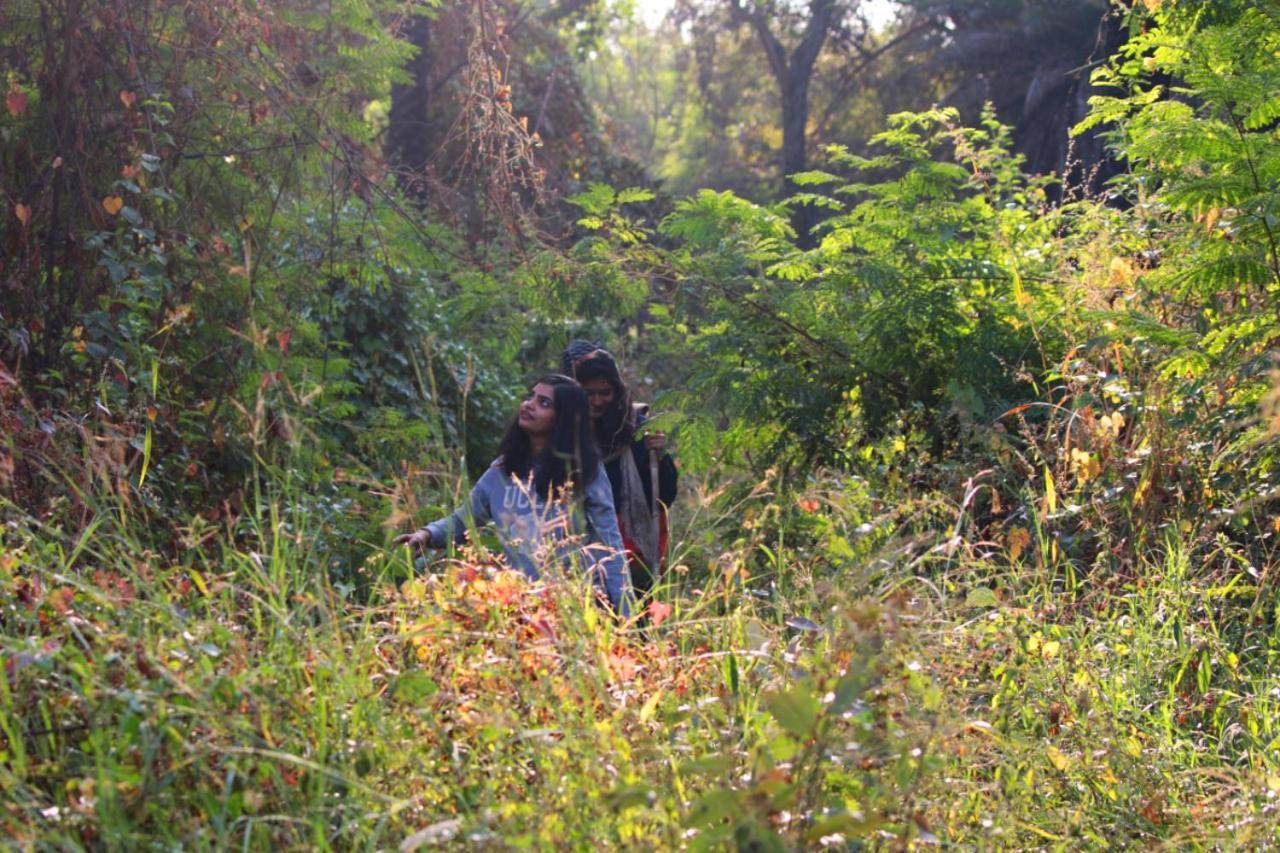 Dera Baghdarrah Nature Retreat Udaipur Exterior photo